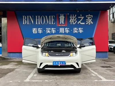 BYD Dolphin