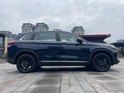 Skyworth EV6