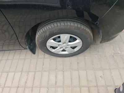 Forthing Lingzhi PLUS