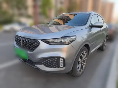 WEY VV6
