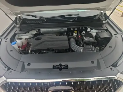 Chery 瑞虎8L
