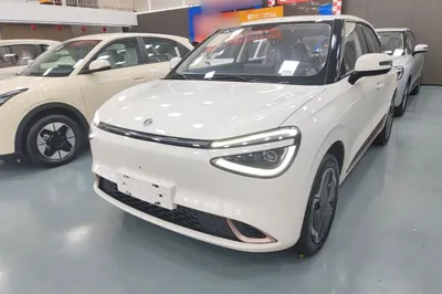 Dongfeng NAMMI 01