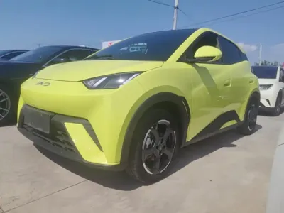 BYD Seagull