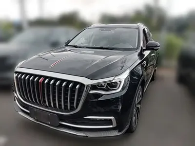 Hongqi Hongqi HS7