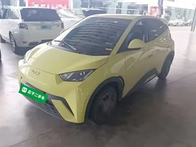 BYD Seagull