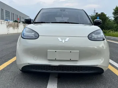 Wuling Bingo