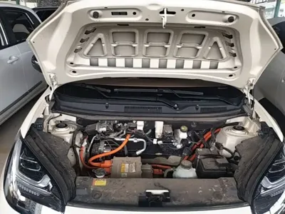 Wuling Bingo