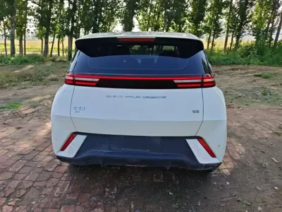 BYD Seagull