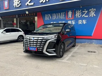 Denza Denza D9