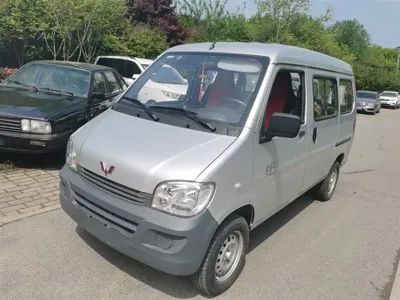 Wuling Zhiguang