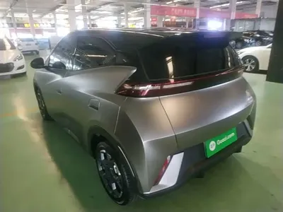 BYD Seagull