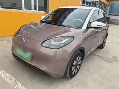 Wuling Bingo