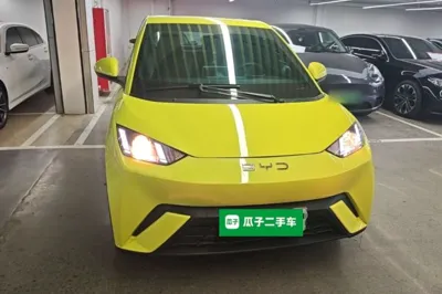 BYD Seagull