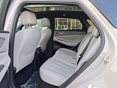 BYD 海狮06