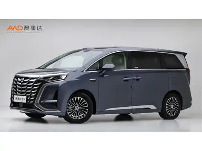 Denza Denza D9