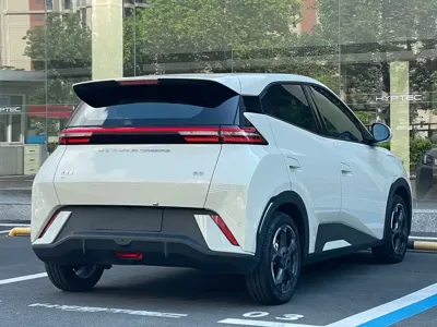 BYD Seagull