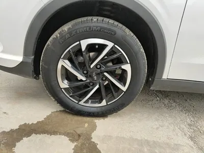 NETA Neta V