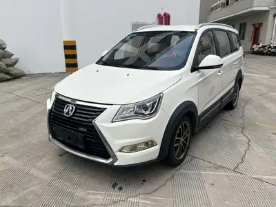 BAW Weiwang M60
