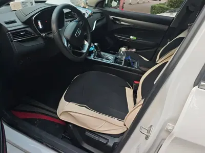 Geely Binrui