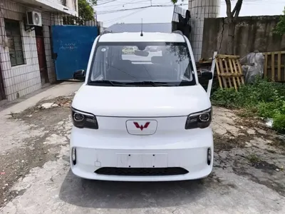 Wuling Zhiguang EV