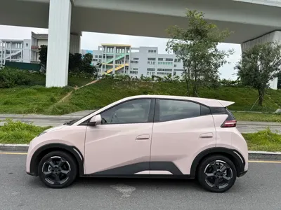 BYD Seagull