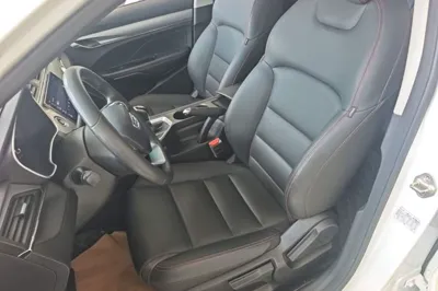 Geely Auto Binray