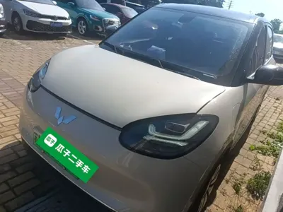 Wuling Bingo