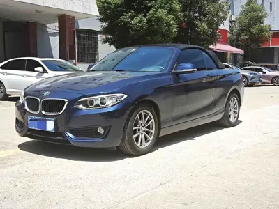 BMW 2 Series (Import)