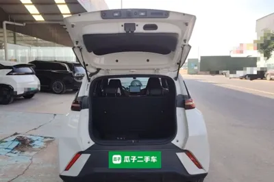 BYD Seagull