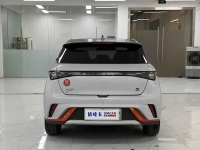 BYD Dolphin