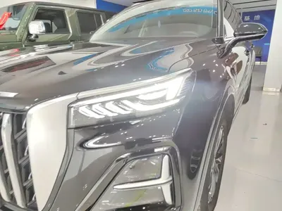 Hongqi Hongqi HS5