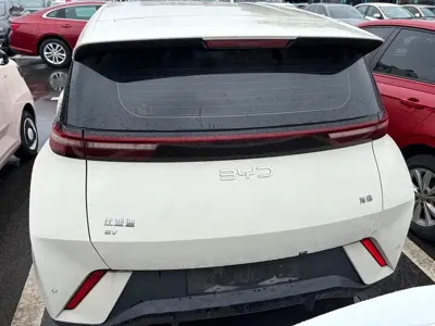 BYD Seagull