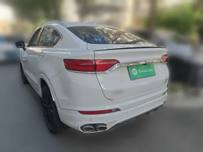 Geely Auto Monjaro