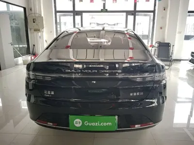 BYD Destroyer 05