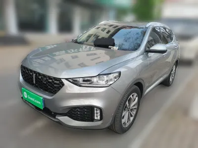 WEY VV6