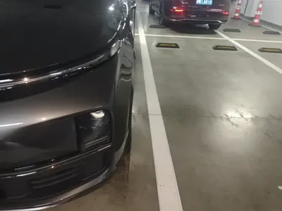 Li Auto Li L8