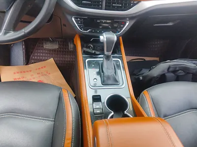 Zotye T300