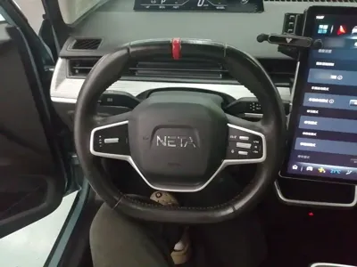 NETA Neta V