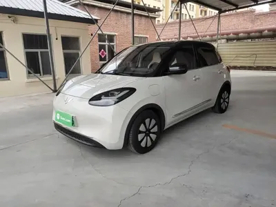 Wuling Bingo