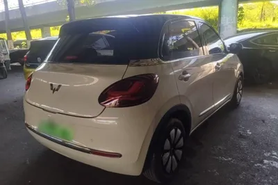 Wuling Bingo