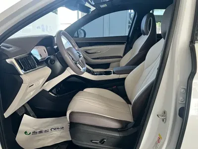 BYD PLUS New Energy