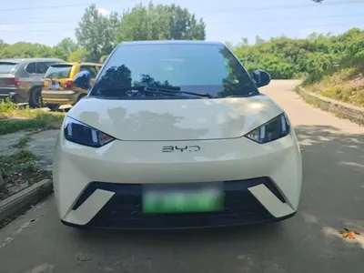BYD Seagull