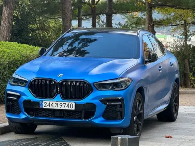 BMW X6
