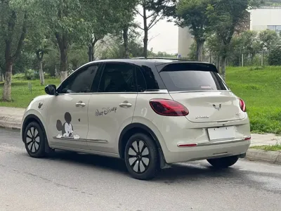Wuling Bingo