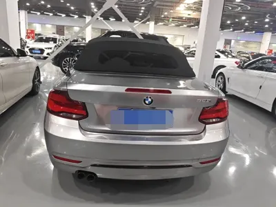 BMW 2 Series (Import)