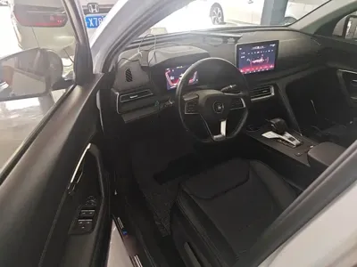 BYD Pro