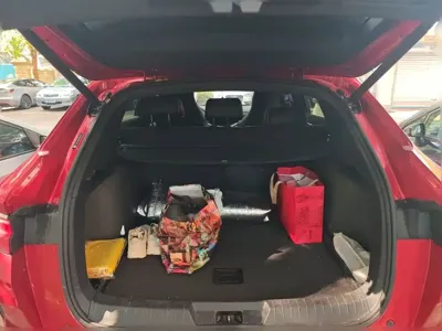 BYD PLUS