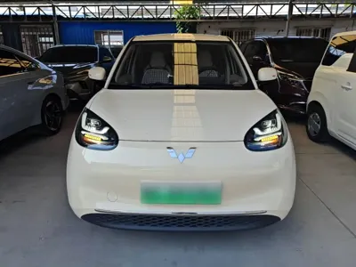 Wuling Bingo