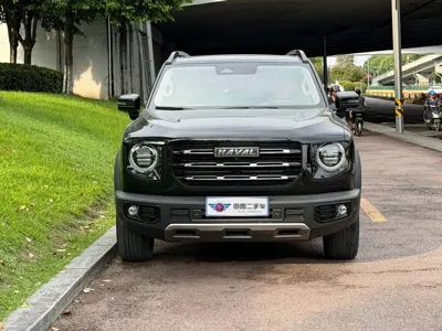 Haval Big Dog