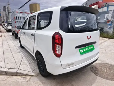 Wuling Hongguang EV